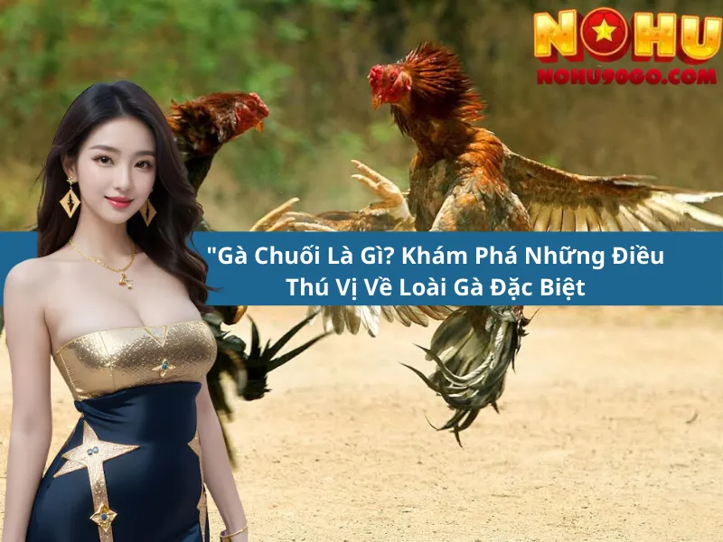"Gà Chuối Là Gì? Khám Phá Những Điều Thú Vị Về Loài Gà Đặc Biệt